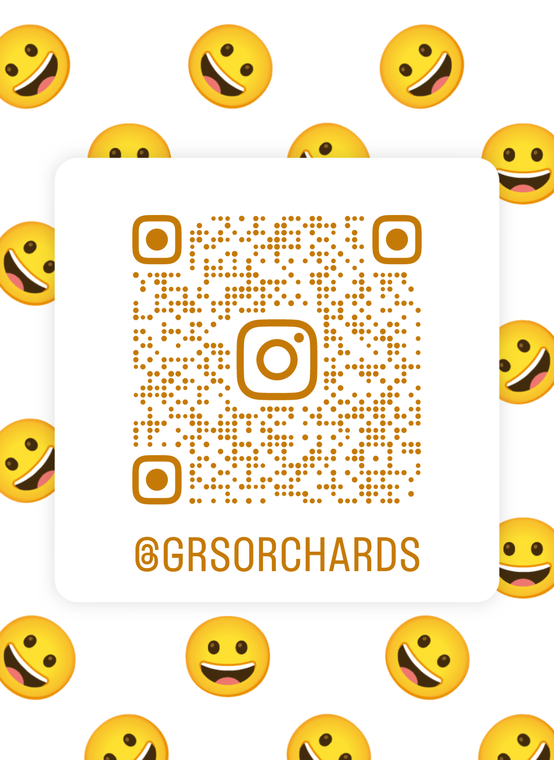 Instagram Scanner